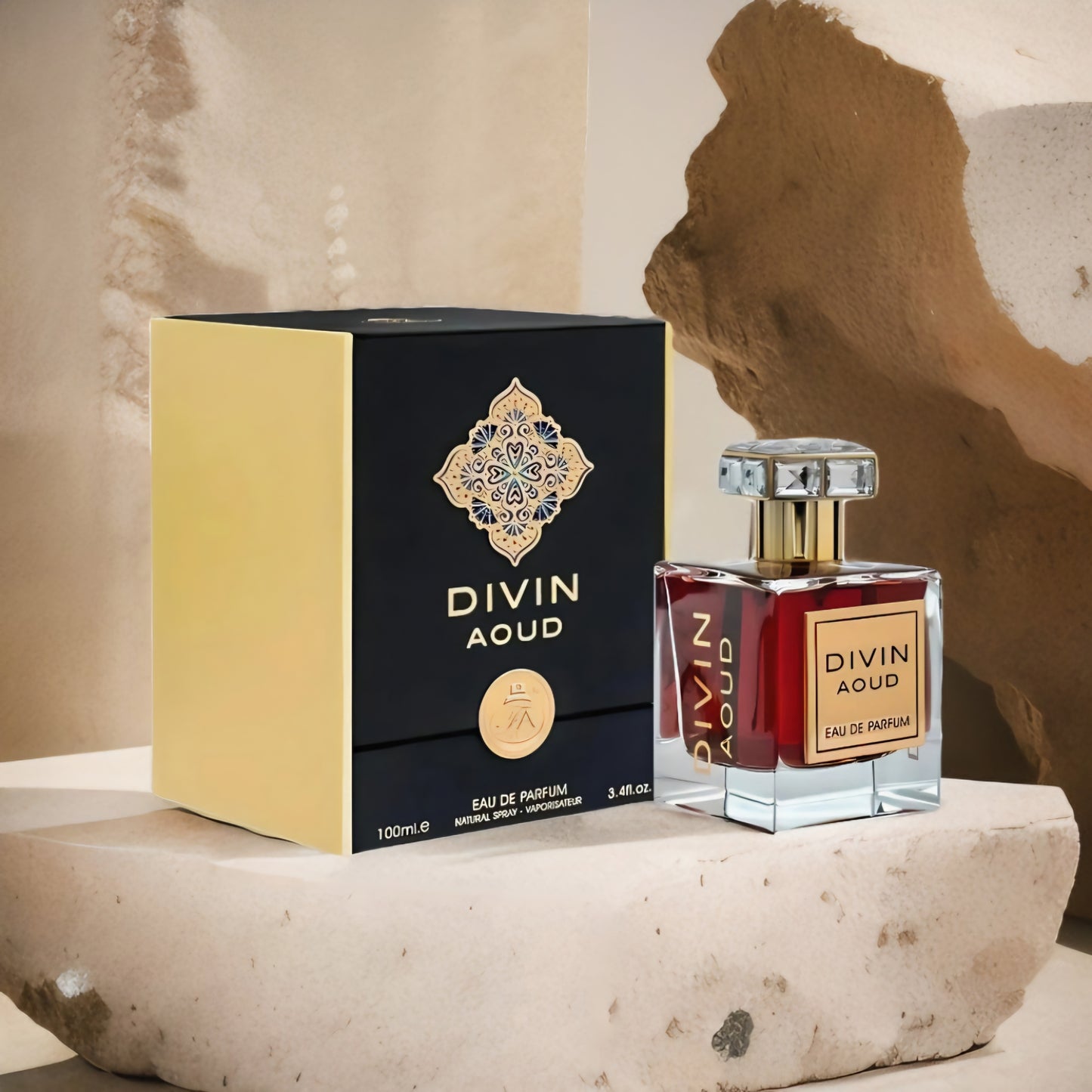 Divin Aoud 100ml FA Paris - Perfume For Men And Women