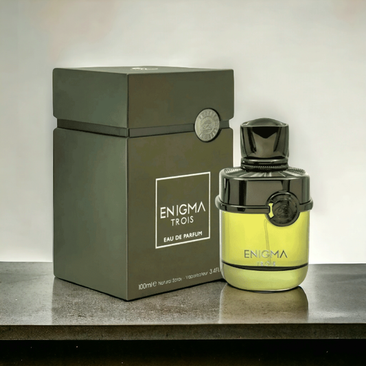 Enigma Trois 100ml By FA Paris - Perfume For Men