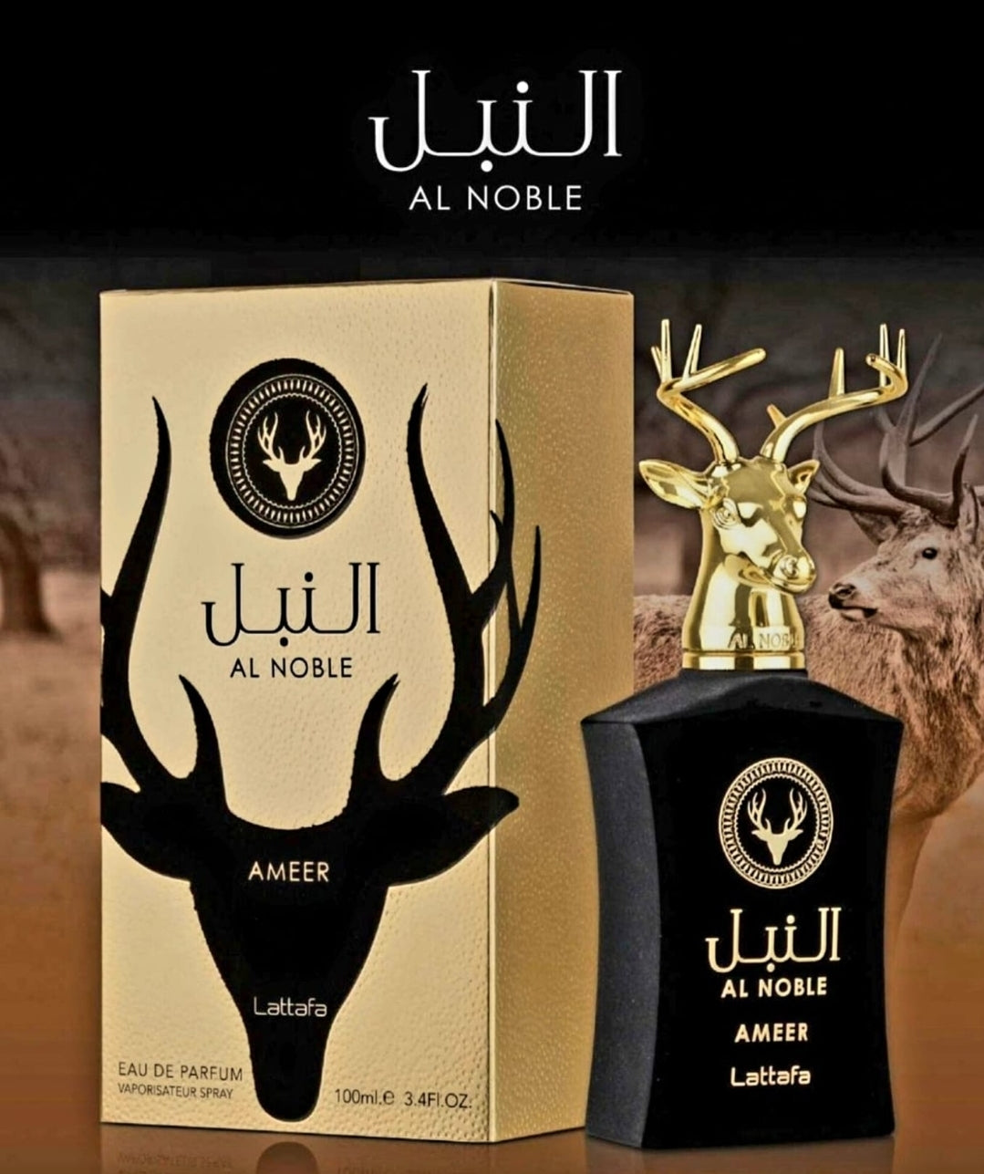 Al Noble Ameer 100ml Lattafa - A Charming Fragrance For Men And Women