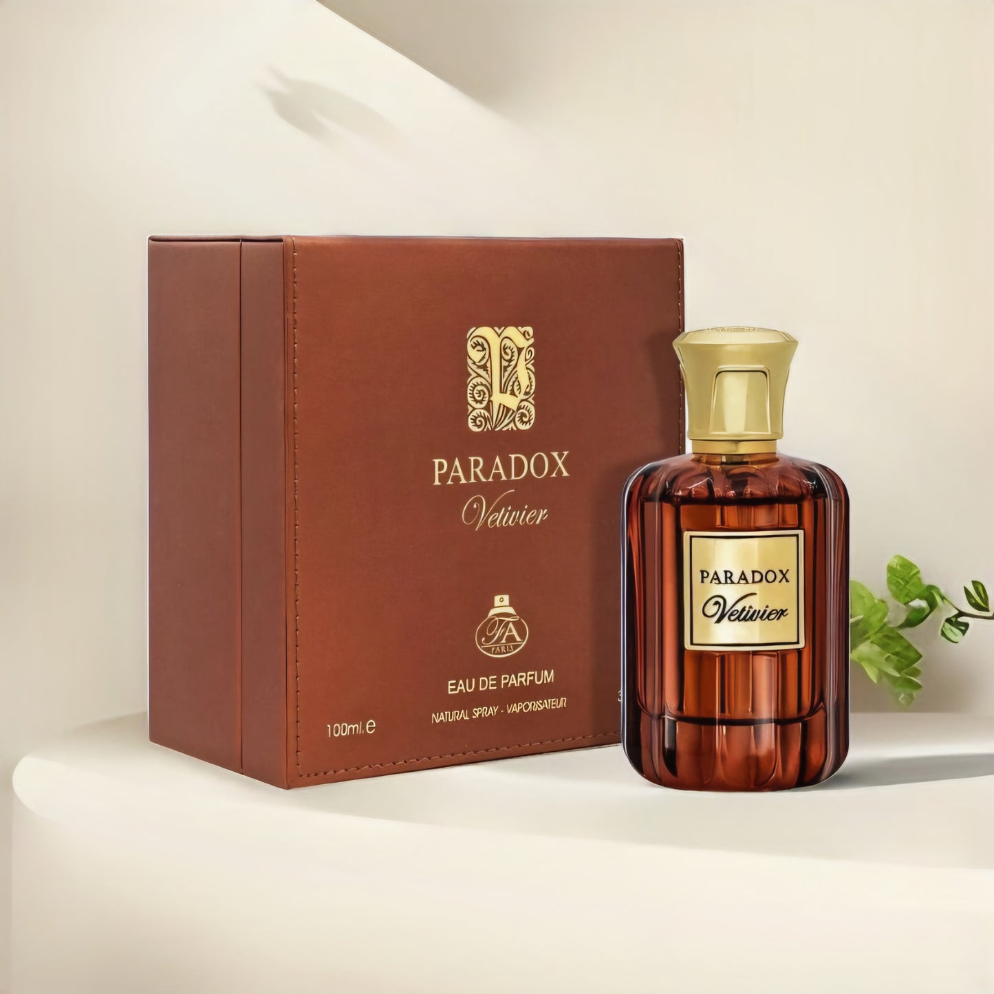 Paradox Vertiver 100ml FA Paris - Perfume For Men