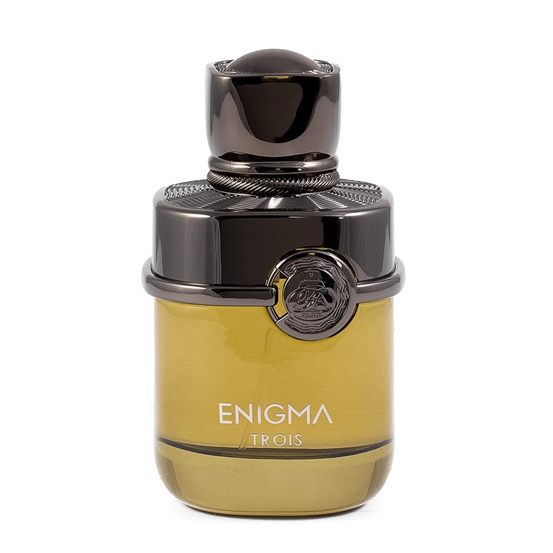 Enigma Trois 100ml By FA Paris - Perfume For Men