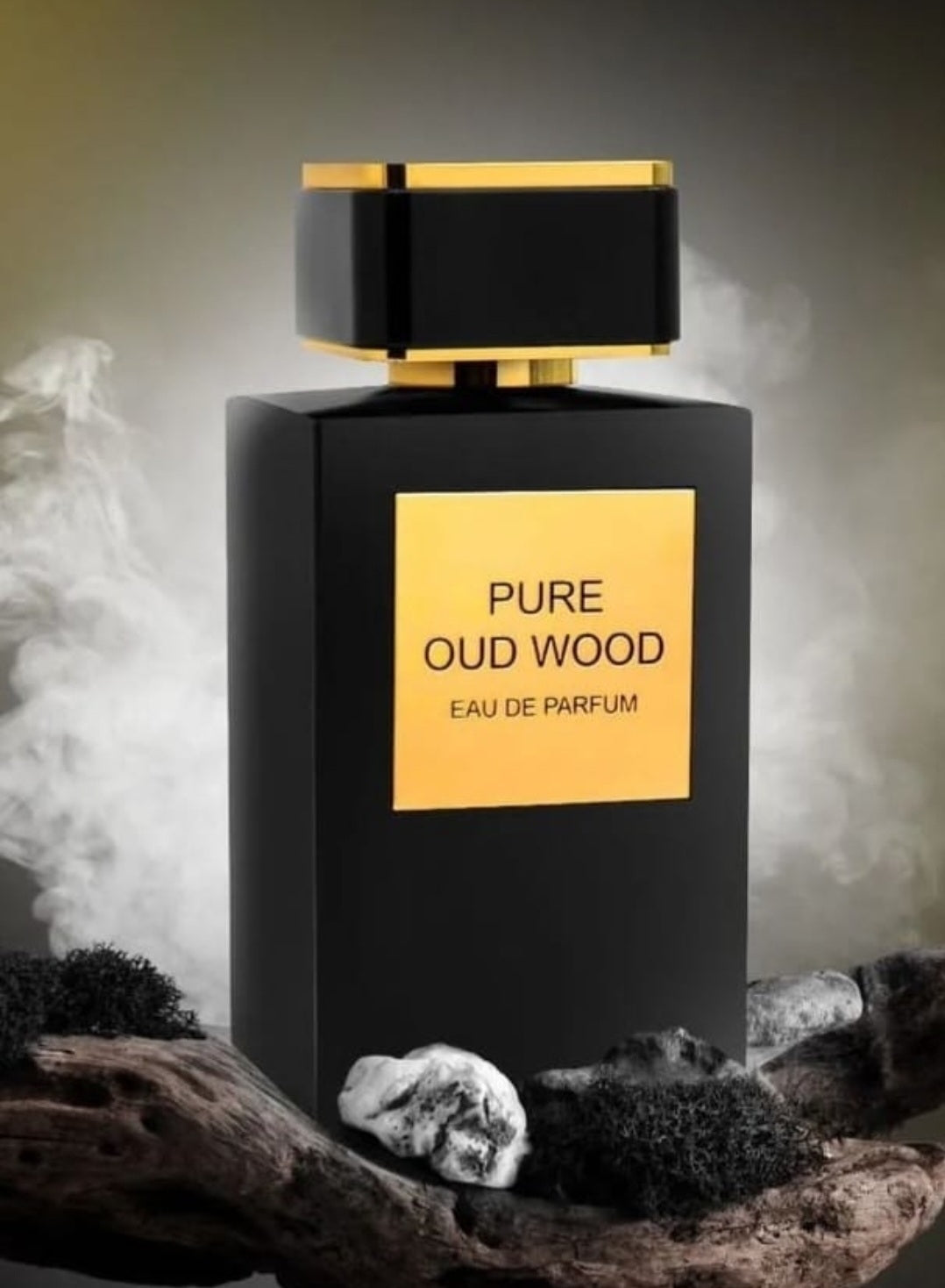 Pure Oud Wood 100ml FA Paris - Perfume For Men And Women