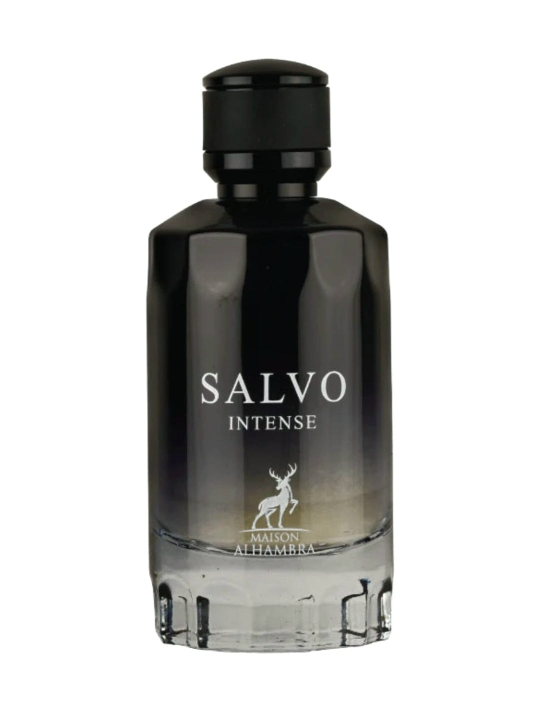 Salvo Intense 100ml Maison Alhambra - Perfume For Men